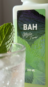Mojito Fever